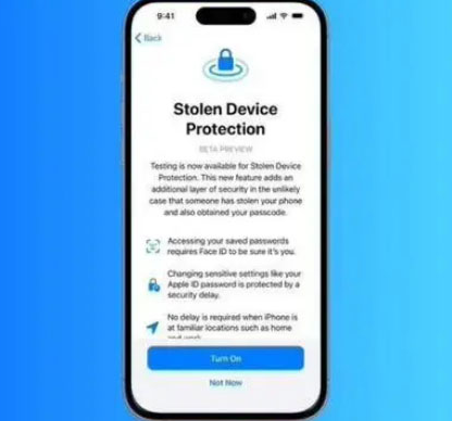 泾县苹果授权维修店分享被盗设备保护功能开启方法 
