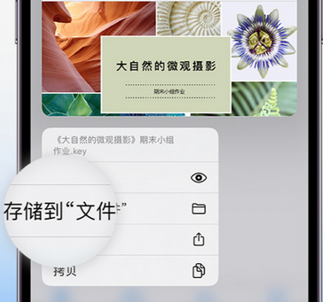 泾县apple维修中心分享iPhone文件应用中存储和找到下载文件