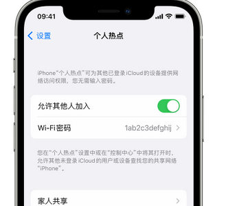 泾县apple服务站点分享iPhone上个人热点丢失了怎么办 