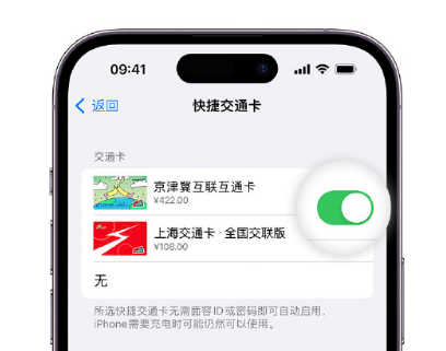 泾县apple维修点分享iPhone上更换Apple Pay快捷交通卡手绘卡面 