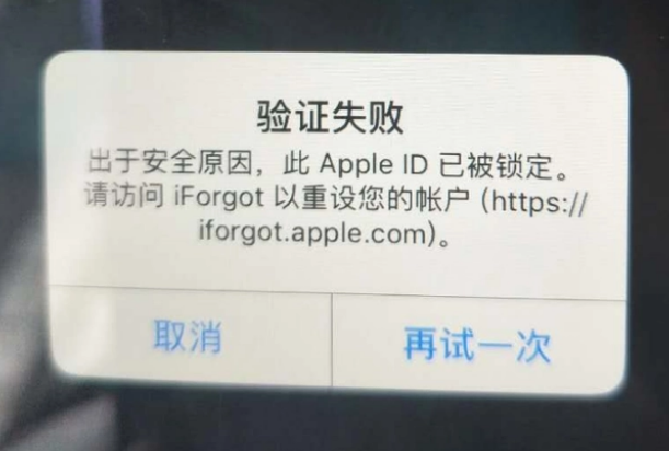 泾县iPhone维修分享iPhone上正常登录或使用AppleID怎么办 