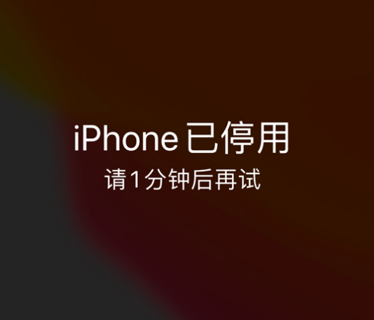 泾县苹果手机维修分享:iPhone 显示“不可用”或“已停用”怎么办？还能保留数据吗？ 