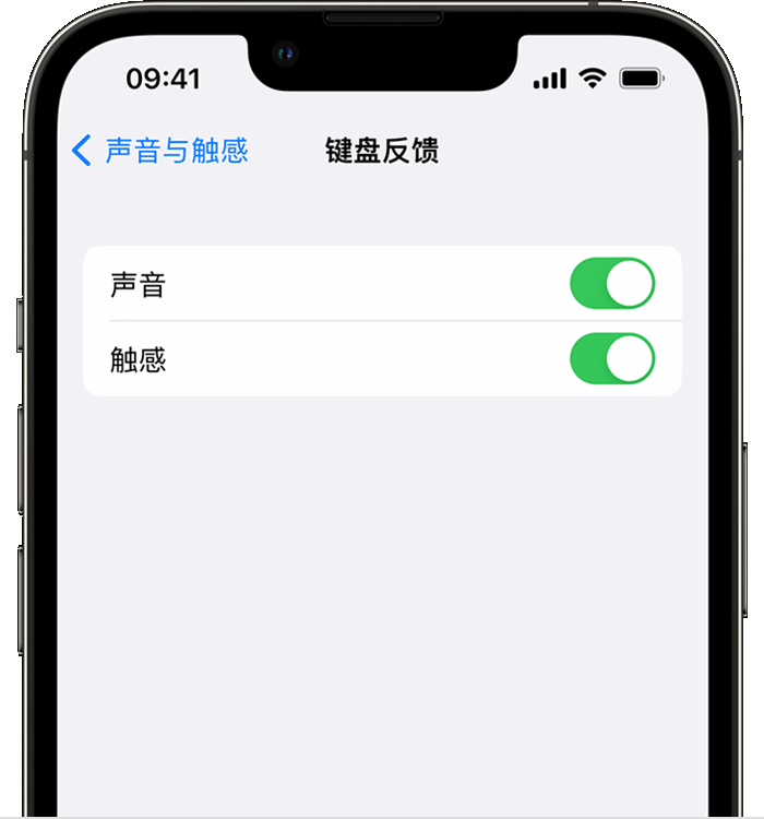 泾县苹果14维修店分享如何在 iPhone 14 机型中使用触感键盘 