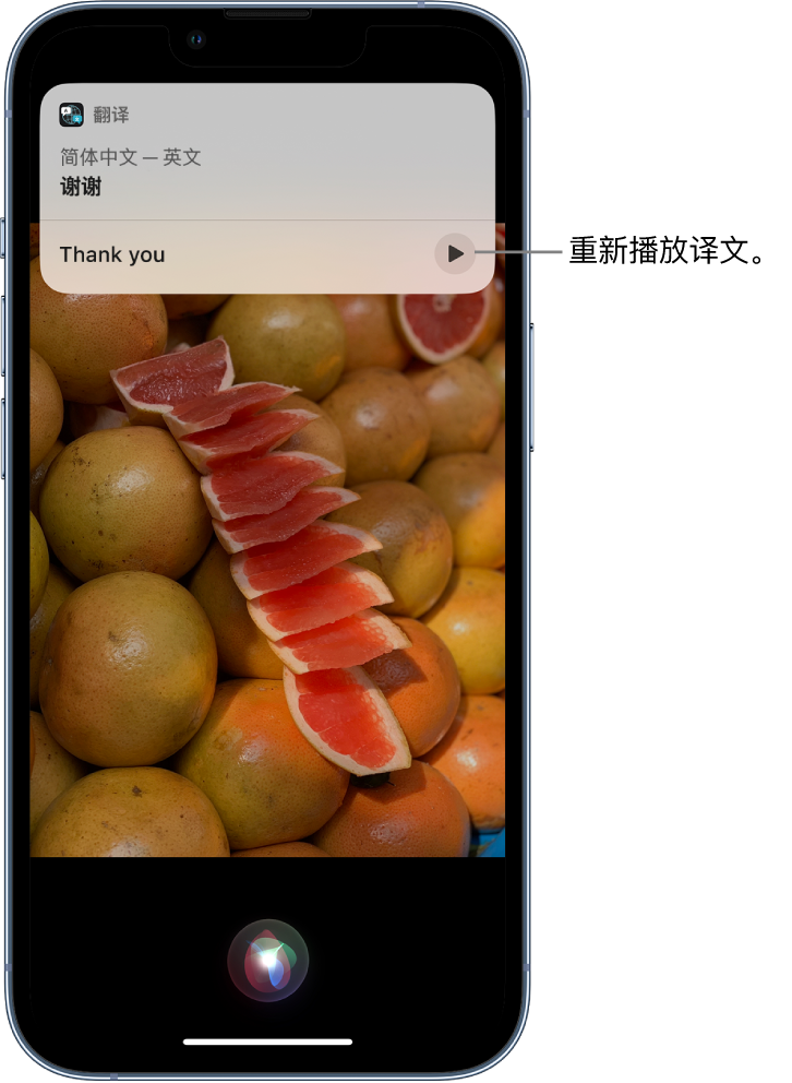 泾县苹果14维修分享 iPhone 14 机型中使用 Siri：了解 Siri 能帮你做什么 