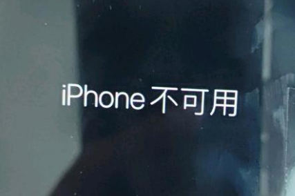 泾县苹果服务网点分享锁屏界面显示“iPhone 不可用”如何解决 