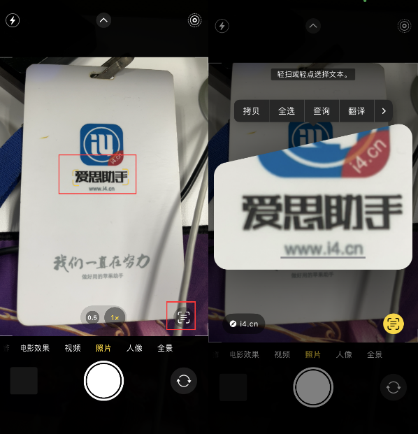 泾县苹果手机维修分享升级iOS 16后如何通过相机翻译文本 
