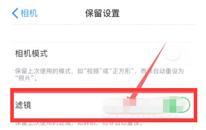 泾县苹果13维修分享iPhone13拍照有绿点是怎么回事 