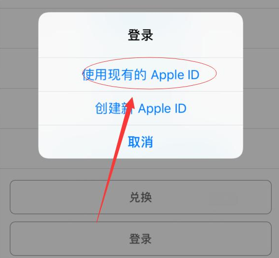 泾县苹果手机维修分享两台iPhone设备可以同时登录一个Apple ID吗 