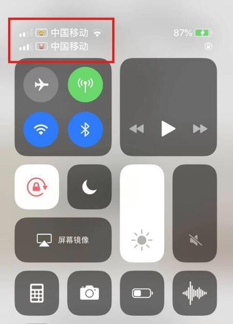 泾县苹果手机维修分享为 iPhone 12 双卡设置标签 